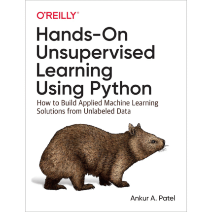 Hands-On Unsupervised Learning Using Python: How to Build Applied Machine Learning Solutions from Unlabeled Data 1st Edition